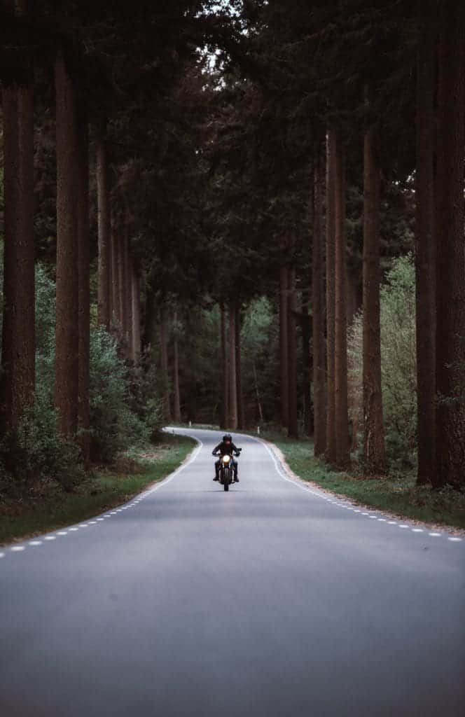 man riding black motorcycle on road between forest